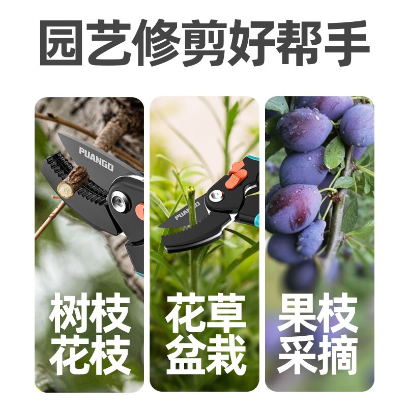 Prund pruning shears, pruning shears, flower branch shears, fruit tree shears, gardening scissors, branch shears, flower tree pruning shears, 9-inch pruning shears, labor-saving shears