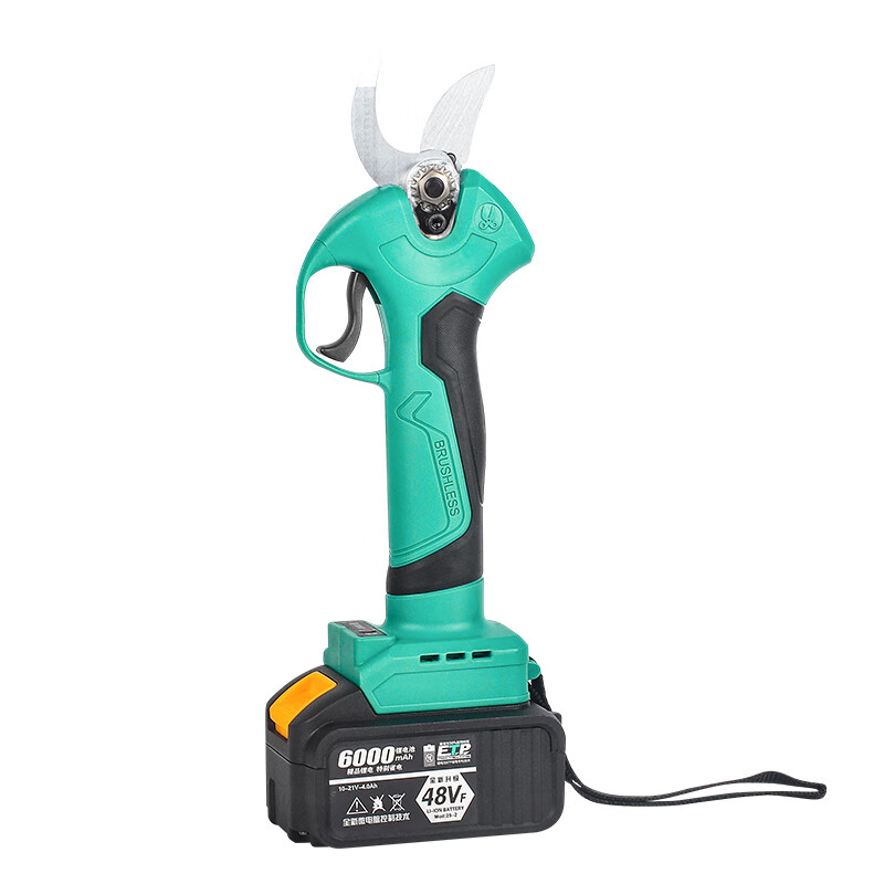 Dayi electric scissors, fruit tree pruning shears, rechargeable garden lithium-ion scissors for cutting branches, electric shears, pruning artifacts, Dayi models, promotional branch shears, bare metal