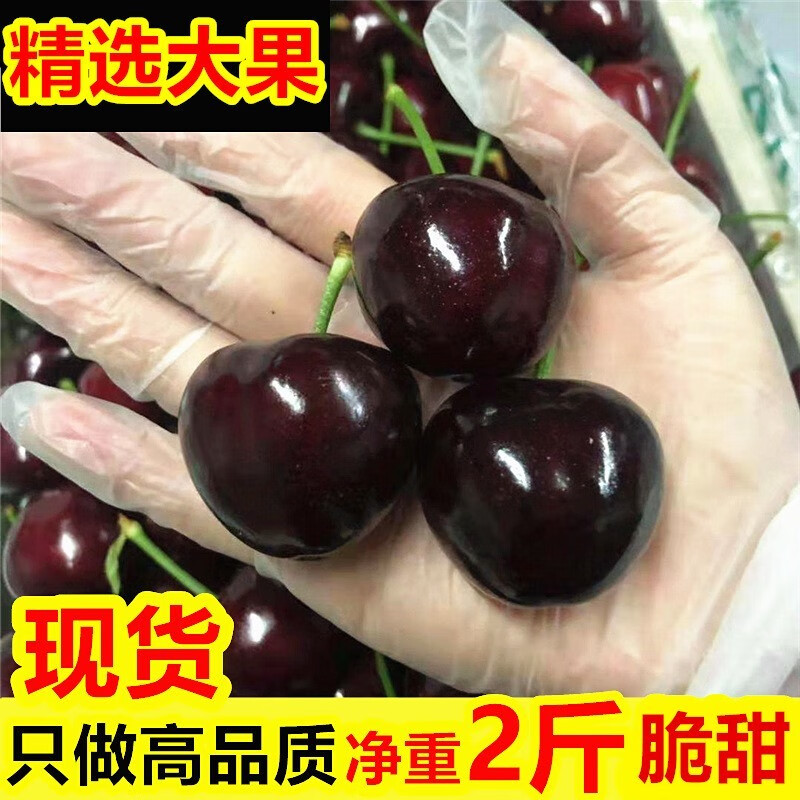 Spot Meizao cherry large cherry fresh Chilean imported cherry fruit seasonal gift box for pregnant women 1500g (net weight) large fruit J26-28mm