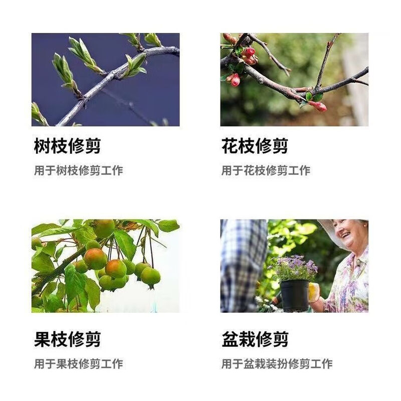 German imported tree shears, fruit tree shears, durable multi-functional pruning shears, flower scissors, flower pruning shears, German imported SK5 steel - pulley steel blade shears for activities