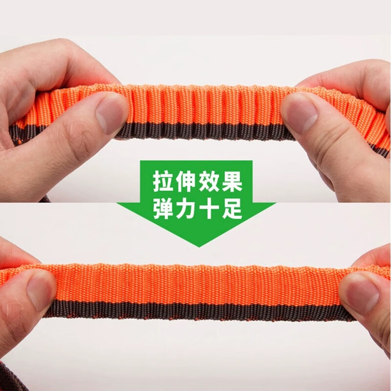 TRUELOVE Pet Products Elastic Traction Rope Large and Medium-sized Dog Chain Buffer Belt Explosive Dog Rope Green L-Length 200-340cm, Width 2.5cm