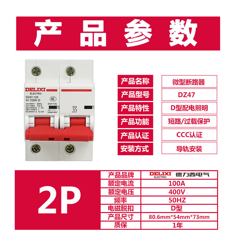 Delixi Electric high current circuit breaker DZ47-125-2P-li(D) 100A small air switch motor DZ47 D type 100A