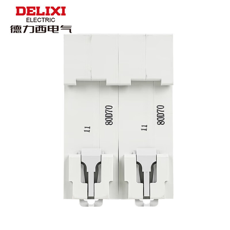 Delixi Electric high current circuit breaker DZ47-125-2P-li(D) 100A small air switch motor DZ47 D type 100A