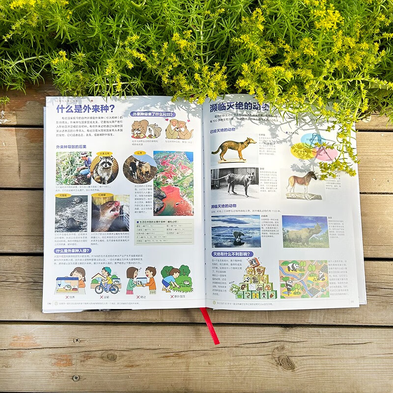 Shogakukan Encyclopedia Mammals The treasure of Japan's century-old community, the Chinese version of the encyclopedia series with sales of more than 14 million copies is available for the first time for those aged 7 and above