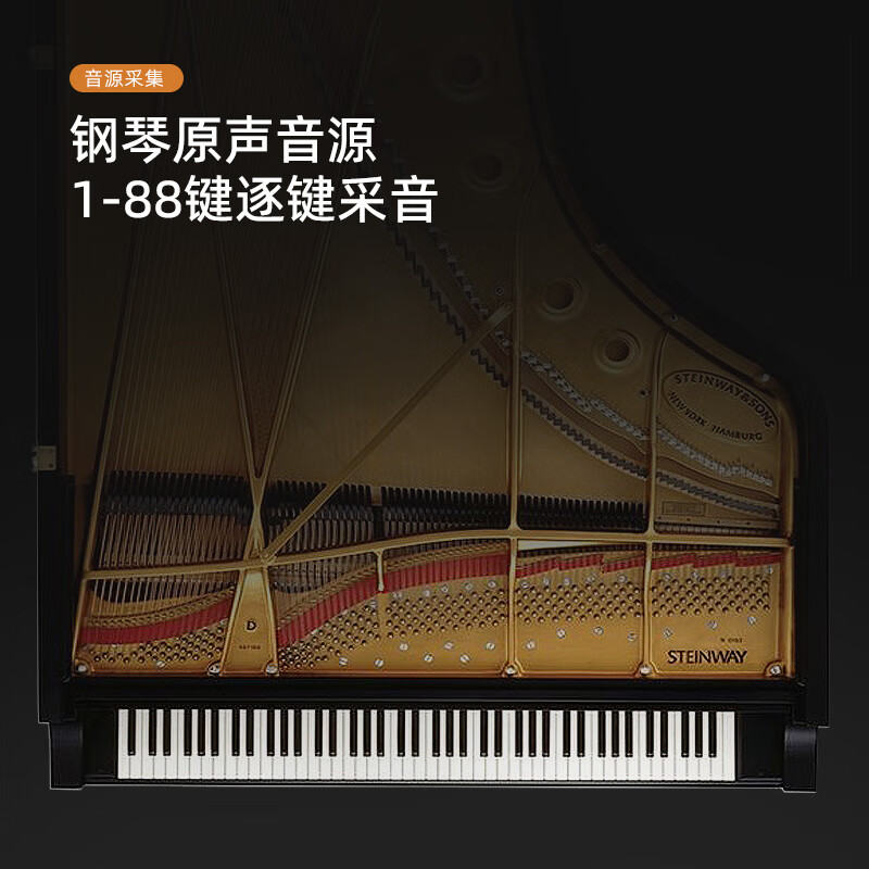 Betsy B351 electric piano 88-key hammer electronic piano for adults and children, home practice for beginners, professional examination piano B350Pro-standard 88-key wood grain brown