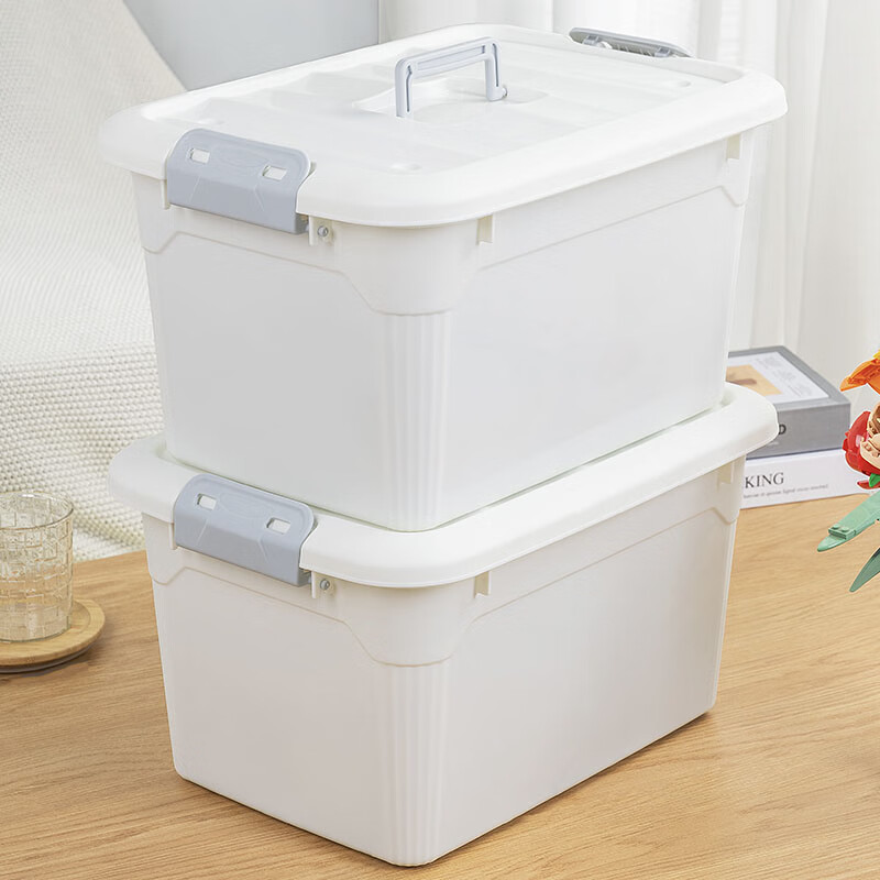 SPACEXPERT Clothes Storage Box Plastic Organizer Car Storage Box Extra Large 1 Pack