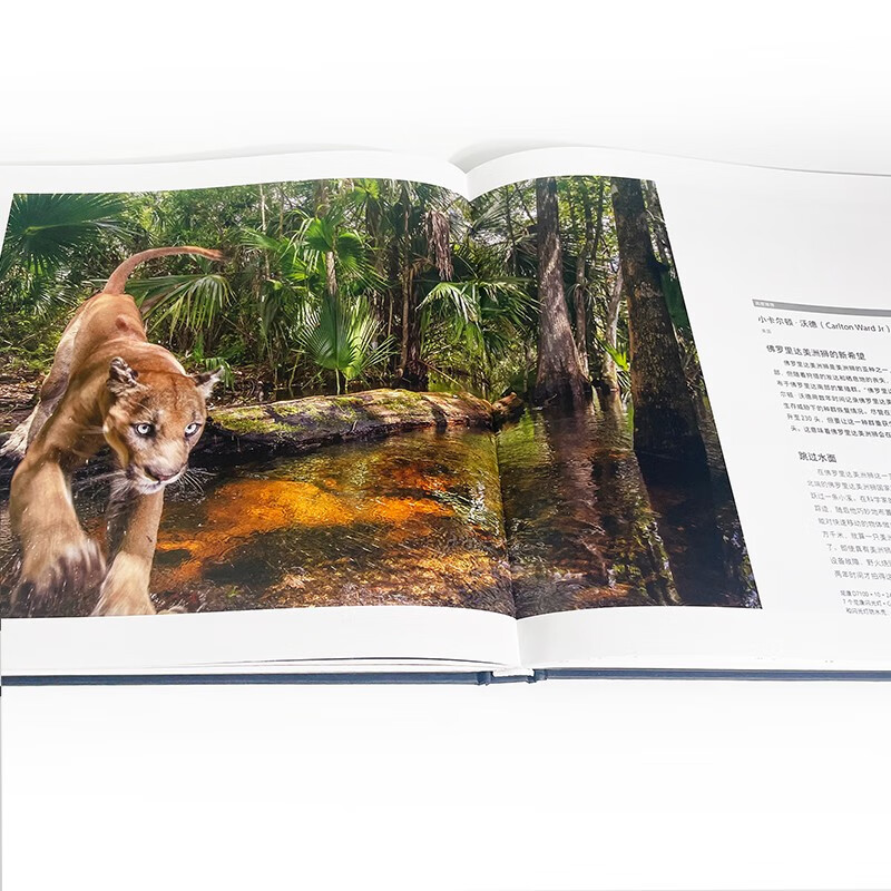 All things are animistic, the winning entries of the 55th International Wildlife Photography Competition