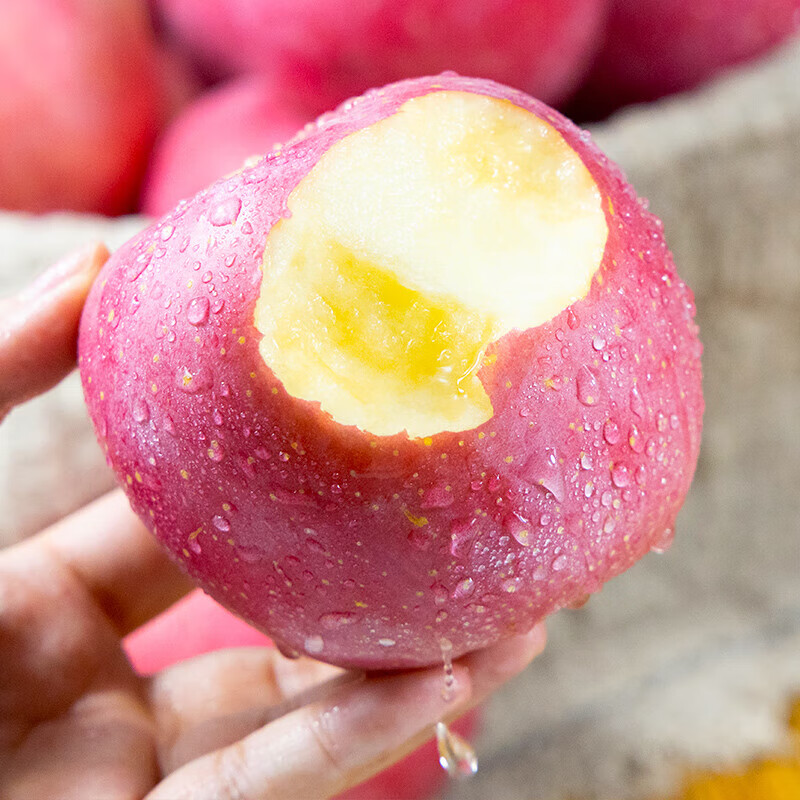 Guoling'e Yantai Red Fuji Apple SF/JD Shandong Qixia Apple Fresh New Year's Crispy Sweet Fruit Gift Box with Box 5 Jin (75-80mm) Family Pack