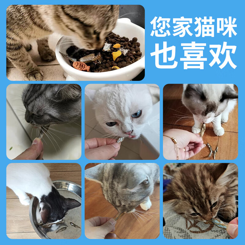Cute Becks Cat Snacks Dried Fish 100g Natural and Healthy Dried Fish Calcium Supplement Snacks for Kittens All-stage Cat Snacks