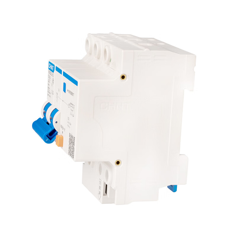 Chint (CHNT) NXBLE-63-2P-C63-30mA-6kA small leakage protection circuit breaker leakage protection air switch 2P 63A