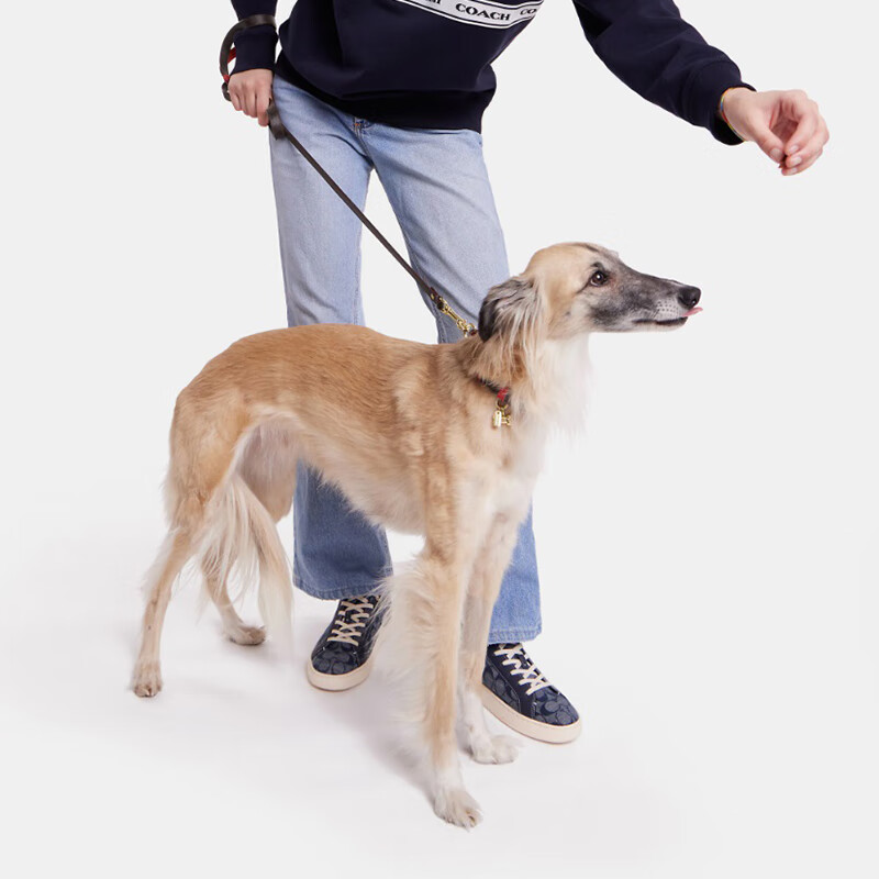 COACH small pet leash CH155IMVGA