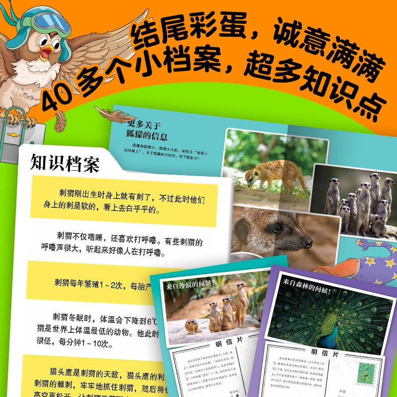 Click-to-read version of Wonderland of Animals Volume 3, all 8 volumes, fun science picture book for children aged 3-6, hilarious animal cognitive enlightenment picture book, kangaroo, zebra, owl, kindergarten imagination bedtime story picture book, supports little monkey Pipi point reading pen