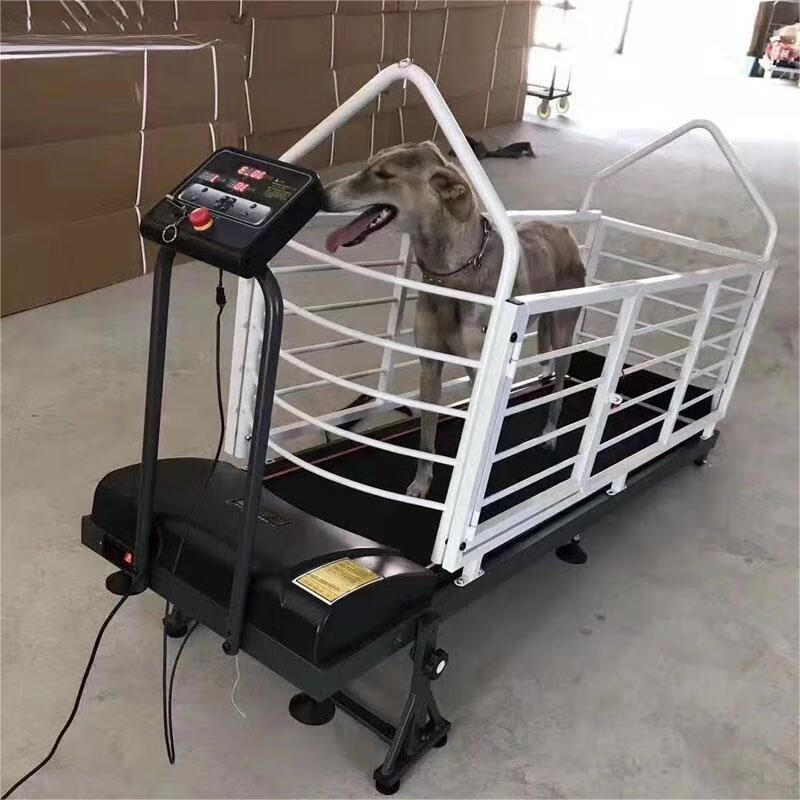 Dog Treadmill Dog Pet Treadmill Electric Treadmill Gree Dog Treadmill Jingzhong C900 Free Remote Control