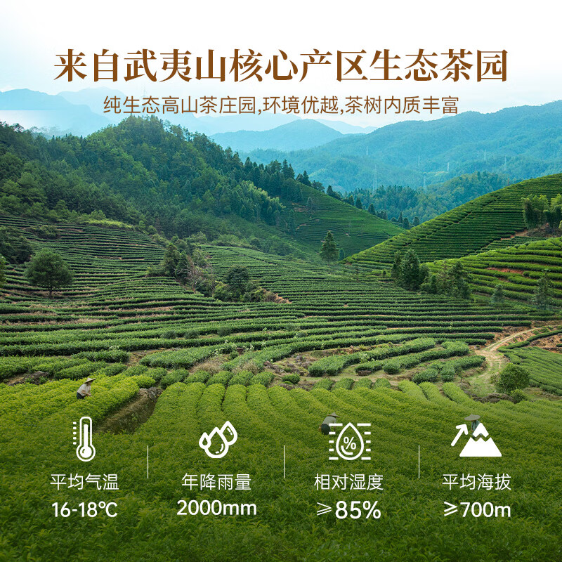 Huaxiangyuan Oolong Tea Wuyishan Rock Tea Cinnamon Grade 1 16.6g Zhongzuhuo Gift Boxed Tea