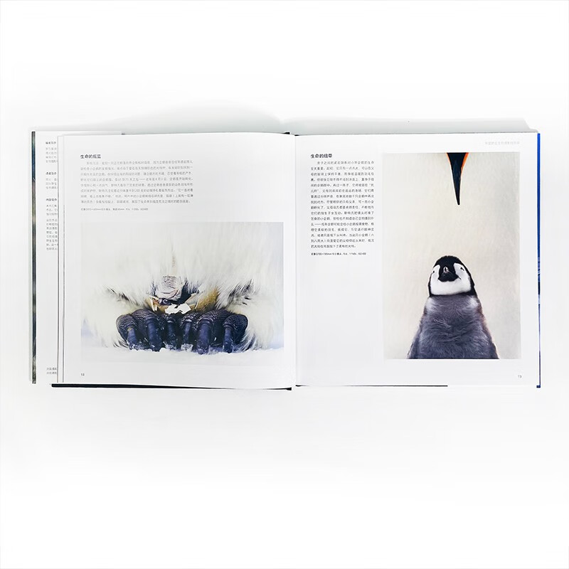 All things are animistic, the winning entries of the 55th International Wildlife Photography Competition