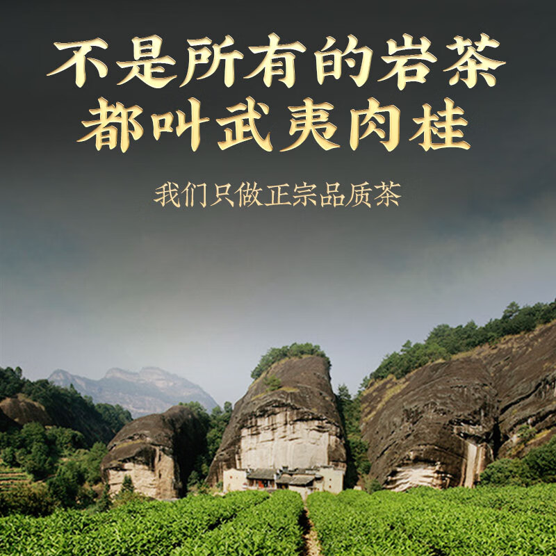 Zhen Tea Master Oolong Tea Wuyi Rock Tea Cinnamon Special Grade 250g Medium Fire Boxed Quality Tea Gift