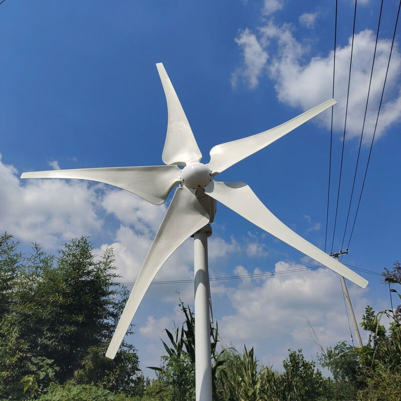 Vinoa's new 1kw wind turbine household wind and solar complementary wind turbine type wind turbine 300 watt 5 blades with controller