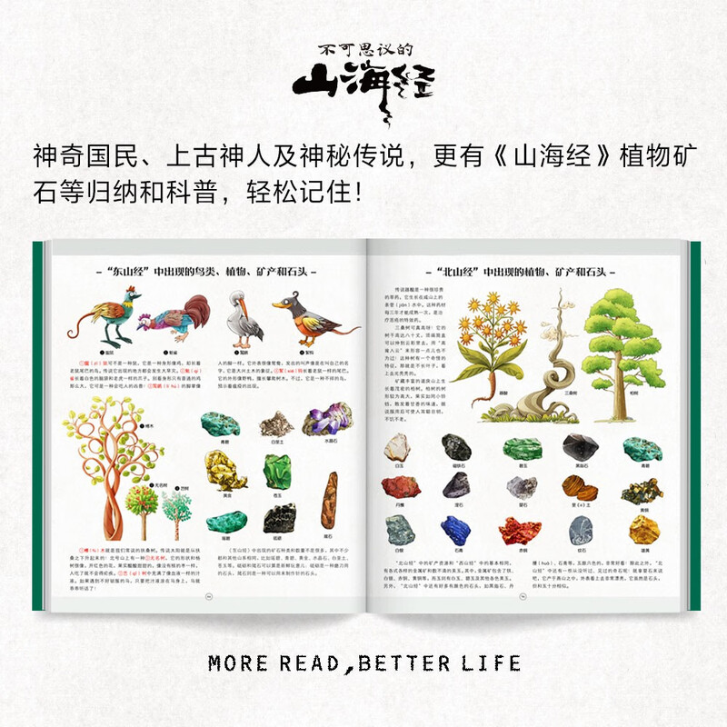 The Incredible Classic of Mountains and Seas, 2 volumes in total, hardcover with color pictures in large 8 format, Kuafu Chasing the Sun, Nuwa Mending the Sky, a collector's edition of the Classic of Mountains and Seas that children can read, phonetic notation of rare characters, adolescent and children's edition, extracurricular book for primary school students