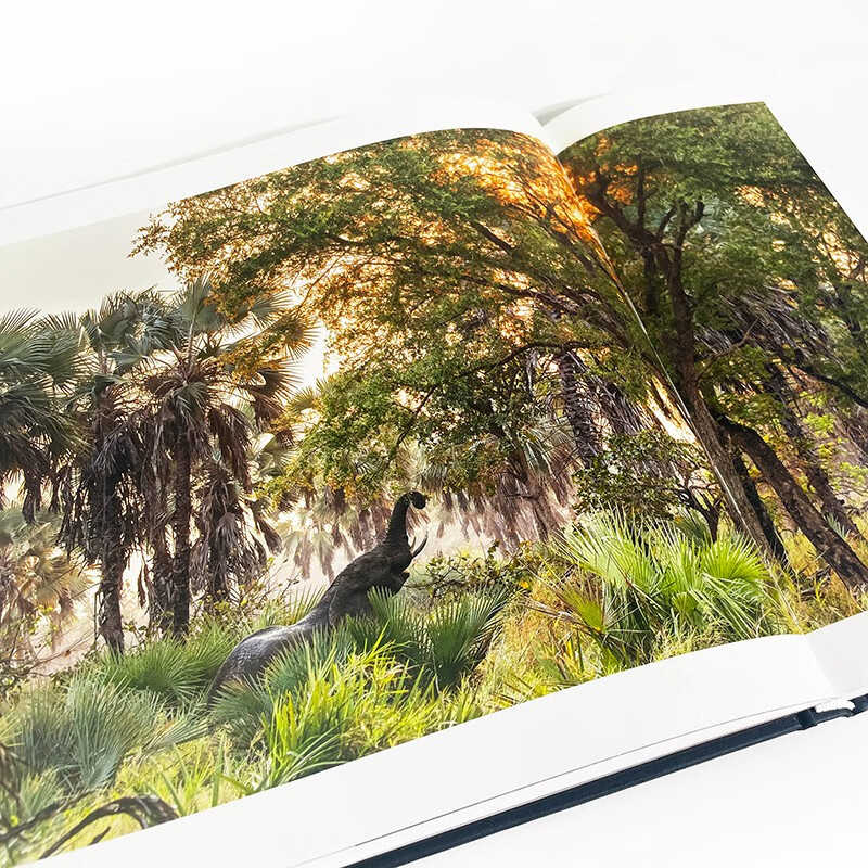 All things are animistic, the winning entries of the 55th International Wildlife Photography Competition