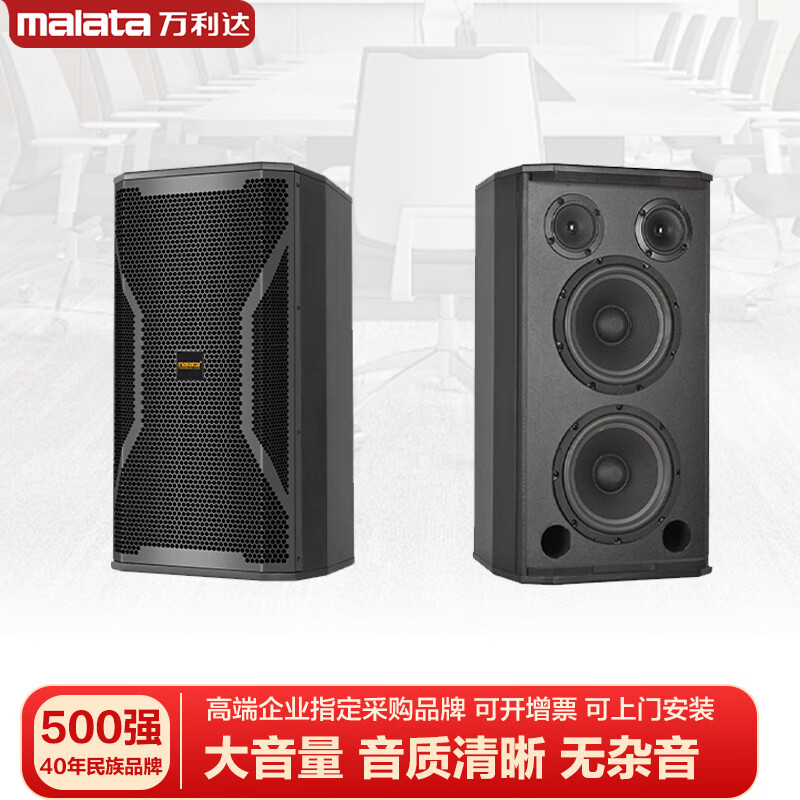 Malata audio set home KTV audio shop stage training room dance studio Bluetooth amplifier microphone speaker 12-inch five-unit audio pair