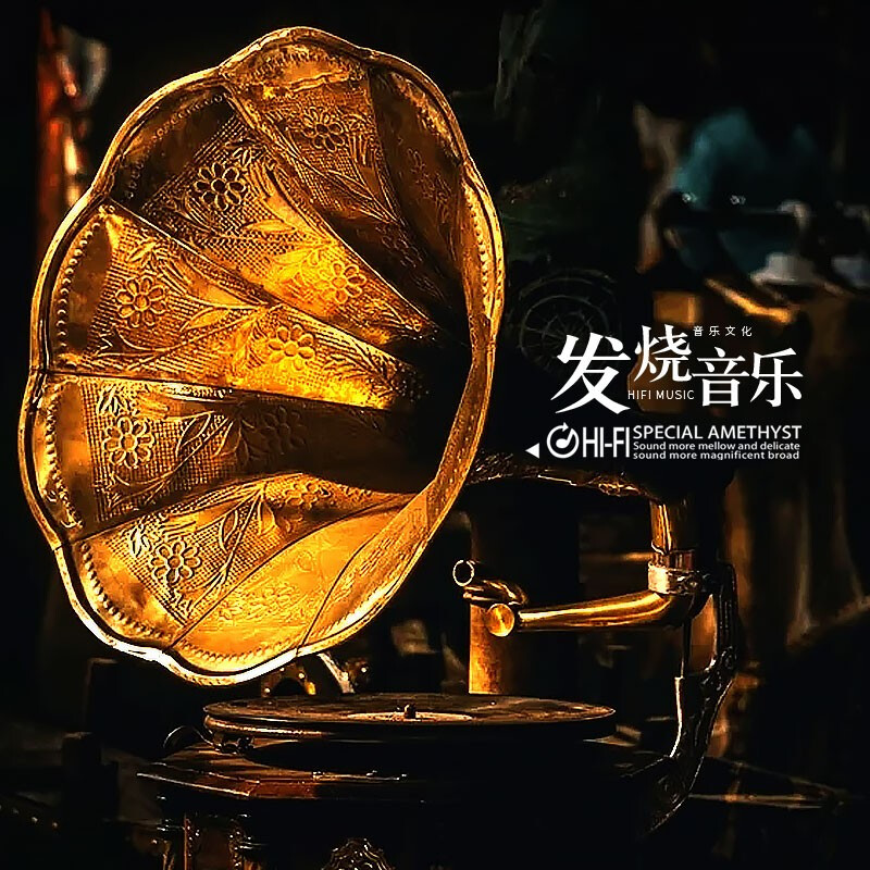 Genuine fever CD disc sound audition Tianlai female voice HIFI lossless music high quality record car CD disc