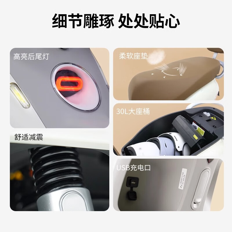 Tailing Electric Motorcycle 72V21AH Graphene Lead Acid Long Range Pedal Intelligent Two-Wheeled Battery Scooter Silk Mist Brown丨72V21A Graphene Lead Acid