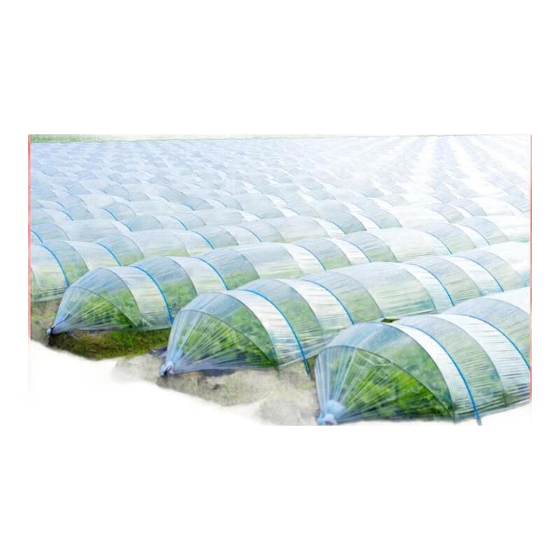 White transparent agricultural seedling film, small shed film, thermal insulation and moisturizing greenhouse film, waterproof plastic film protective film, 2 wires thick, 2 meters wide, 20 meters long (zero cut)