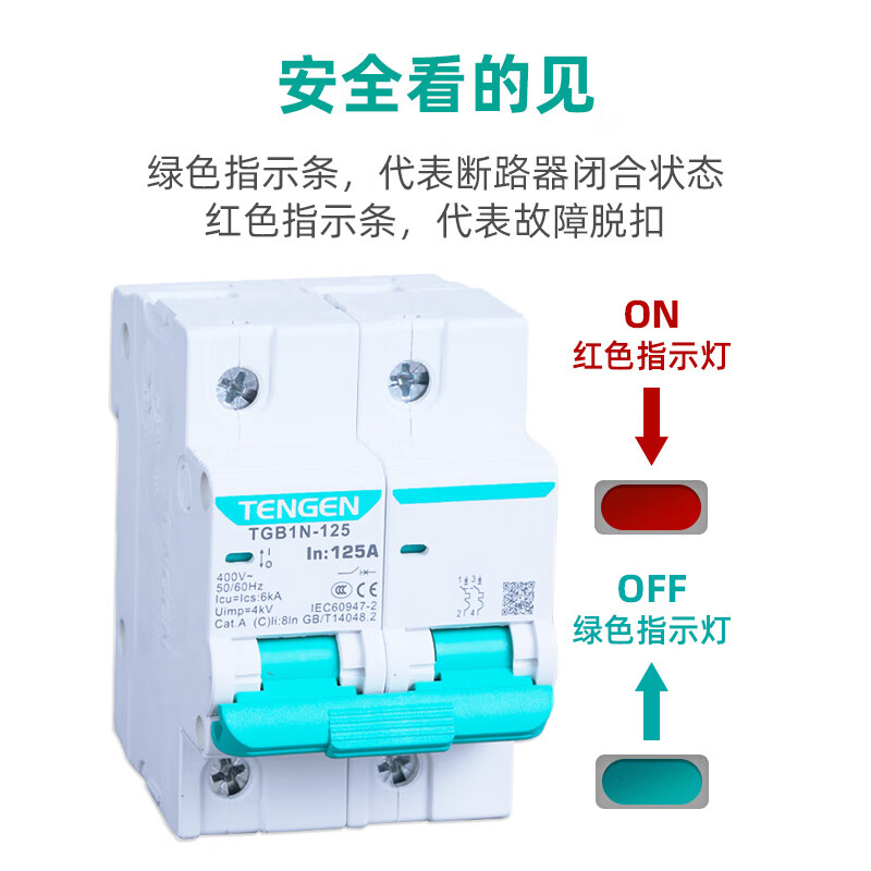 TENGEN Tianzheng 1P 2P 3P 4P 100A 125A air switch DZ47 upgrade 4P 125A