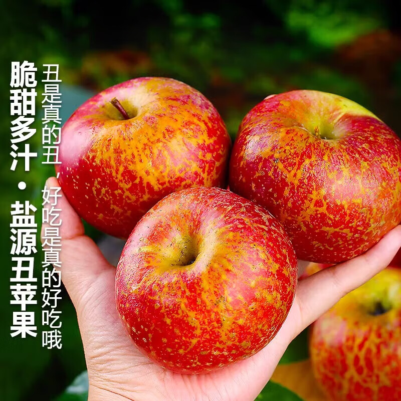 Jingmi Sichuan Daliangshan Ugly Apple, 3kg net, single fruit 70mm+, fresh fruit rock candy, straight from the source