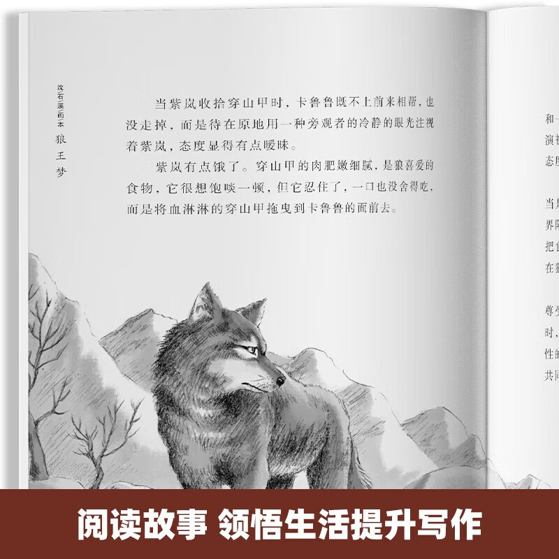 The Wolf King's Dream in Stone Creek is a genuine set of 5 volumes. The complete picture book of the animal novel King's collection. The 9-10-12-year-old youth edition must-read extracurricular reading books for primary school students in grades 4, 5 and 6. Classic book list for winter and summer vacations. Jingdong Children's Books self-operated children's literature books
