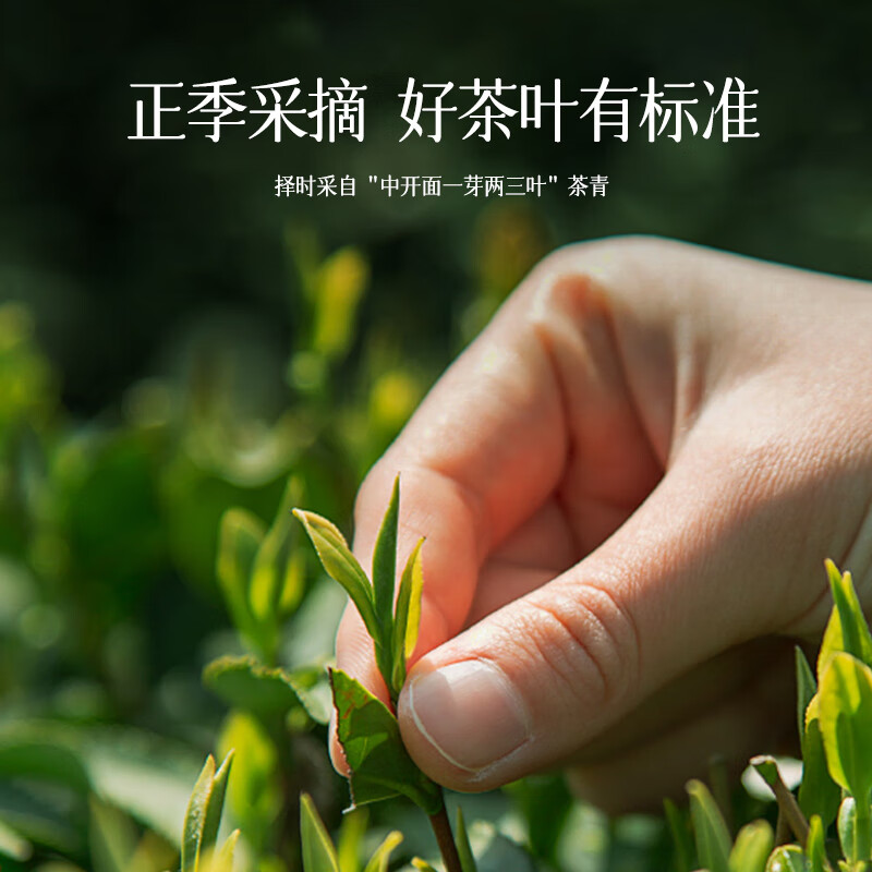 Jingshiyue Specialty Alpine Frozen Top Oolong Tea Gift Box for Yourself to Drink Yuling High Cold Green Tea for Mid-Autumn Festival to Elders Taiwan Alishan Natural Milk Fragrance Gift Box 15 300g