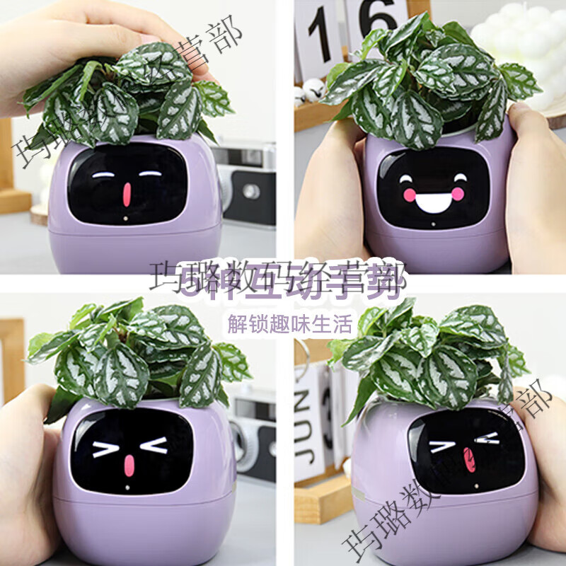 Ivy Emotional Intelligent Plant Cute Pet Intelligent Robot Flower Pot Plant Table Set with Trendy Ornaments Birthday Gift Glacier White Intelligent Flower Pot Children's Day Happy Children's Day Packaging + Children's Day Gift Bag Generation