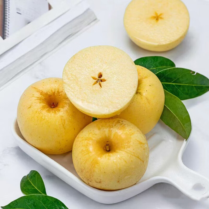 Try Weihai Golden Venus Apple, single fruit starting from 160g, 9 pieces in pack, fresh fruit, direct shipping from the source, free shipping