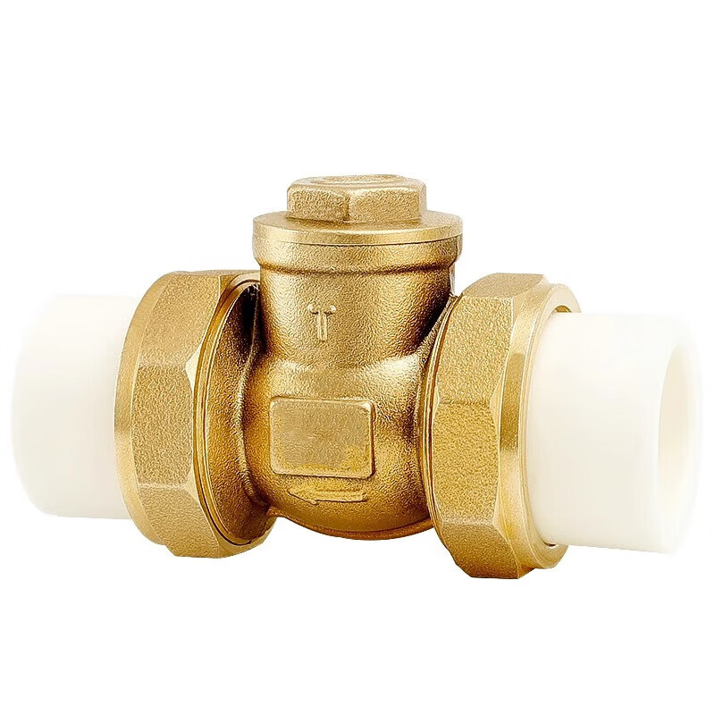Teng Tu double hot melt union check valve H14H-16T check valve specifications can be customized PPR20-4 points one price