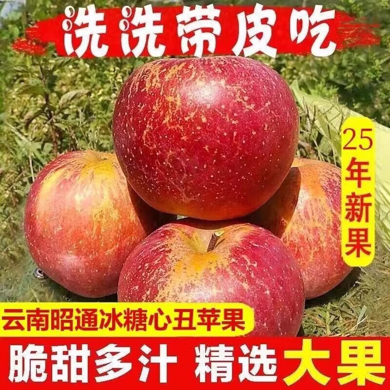 Jingxijia's authentic 25-year-old new fruit, Yunnan Zhaotong Rock Candy Chou Apple, seasonal fruit, freshly picked crispy and sweet wild Fuji apple, 2 pounds of medium-sized fruit in the whole box, fruit diameter 70-75, quality tasting