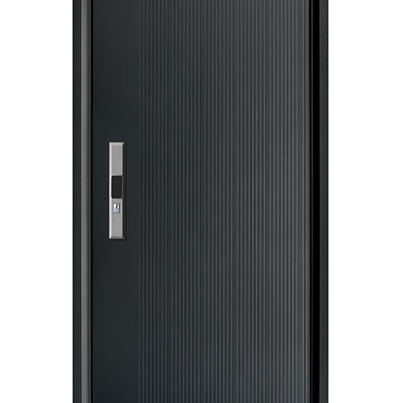Sodelphi D-661 Class A anti-theft door security door entry door smart door single door