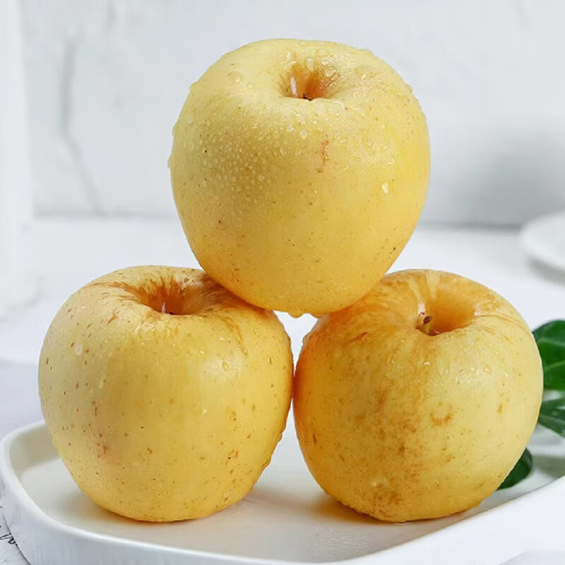 Try Weihai Golden Venus Apple, single fruit starting from 160g, 9 pieces in pack, fresh fruit, direct shipping from the source, free shipping
