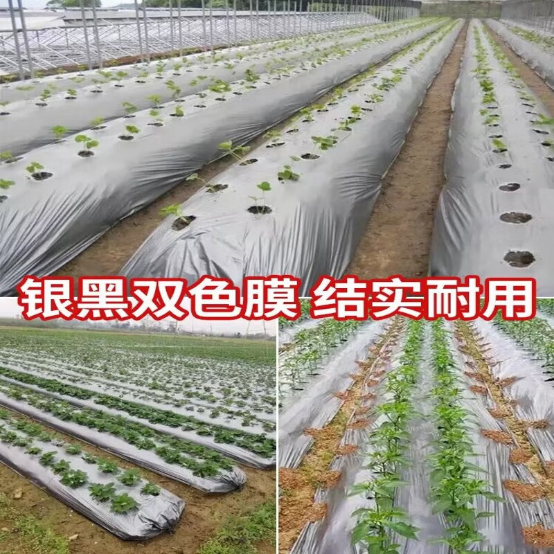 Silver and black two-color mulch film, new material, thickened insect-proof reflective mulch film, weeding film, thermal insulation agricultural mulch film, silver and black 10 pounds, 1.2 silk, thick, 1.2 meters wide, 260 meters long