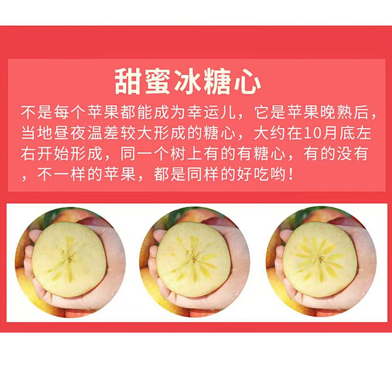 Authentic Xinjiang Rock Candy Heart Apple Red Fuji Fresh Fruit Seasonal Apple Gift Holiday Gift Box 10 Jin Whole Box Single Fruit 75-90mm Net Weight 8.5 Jin+