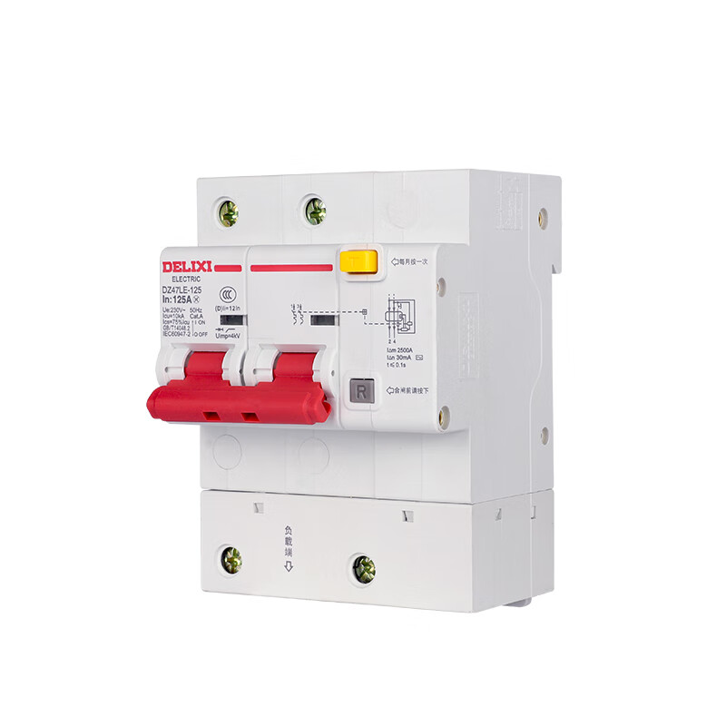 Delixi high current leakage circuit breaker 2P 80A100A 125A leakage protection DZ47LE-125 single and double phase 100A 2P