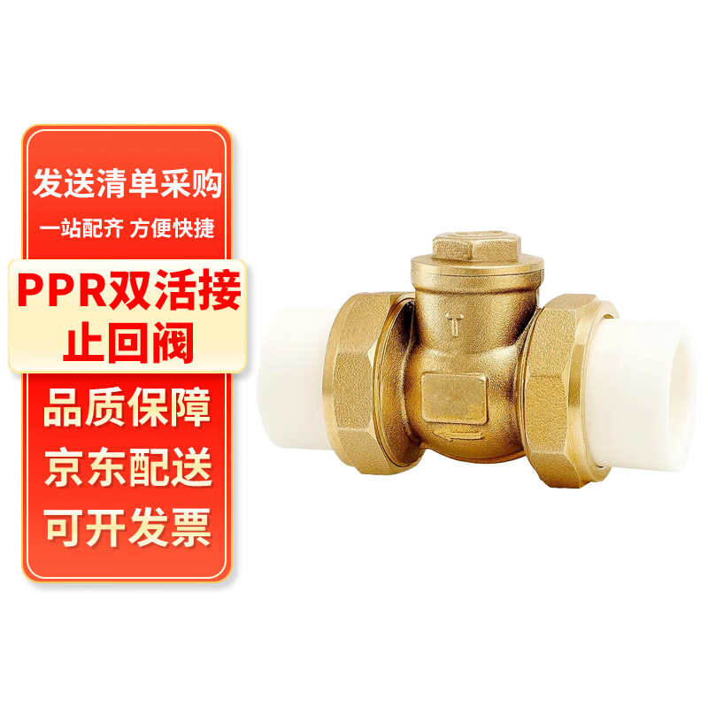 Teng Tu double hot melt union check valve H14H-16T check valve specifications can be customized PPR20-4 points one price