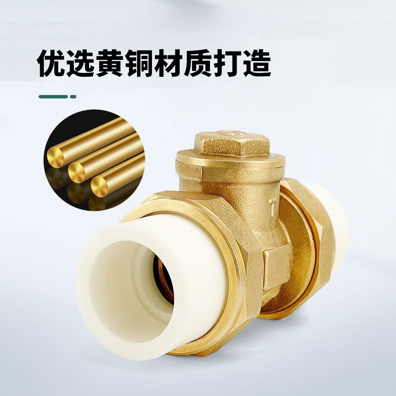 Teng Tu double hot melt union check valve H14H-16T check valve specifications can be customized PPR20-4 points one price