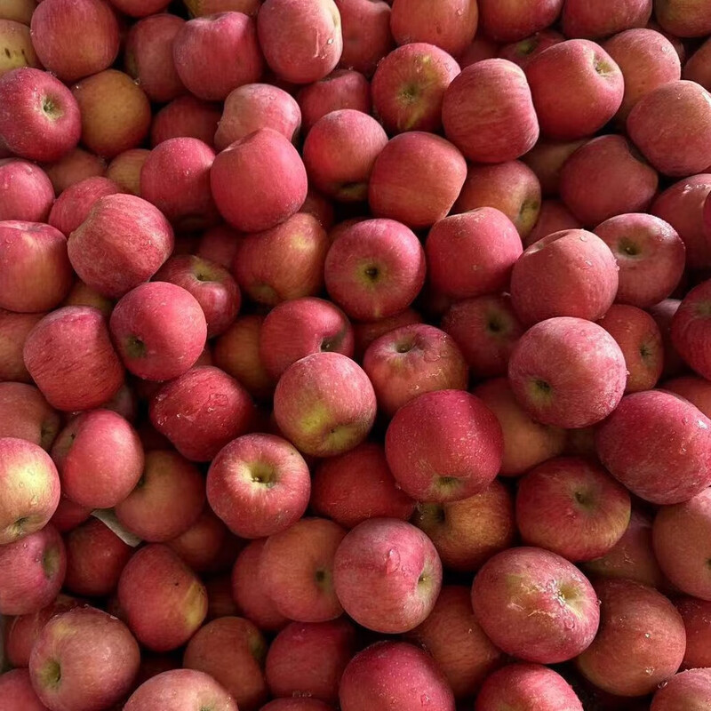 Jingxiansheng Shandong Yantai Red Fuji Apple, net weight 5 pounds, fruit diameter 75mm+, fresh fruit, straight from the source