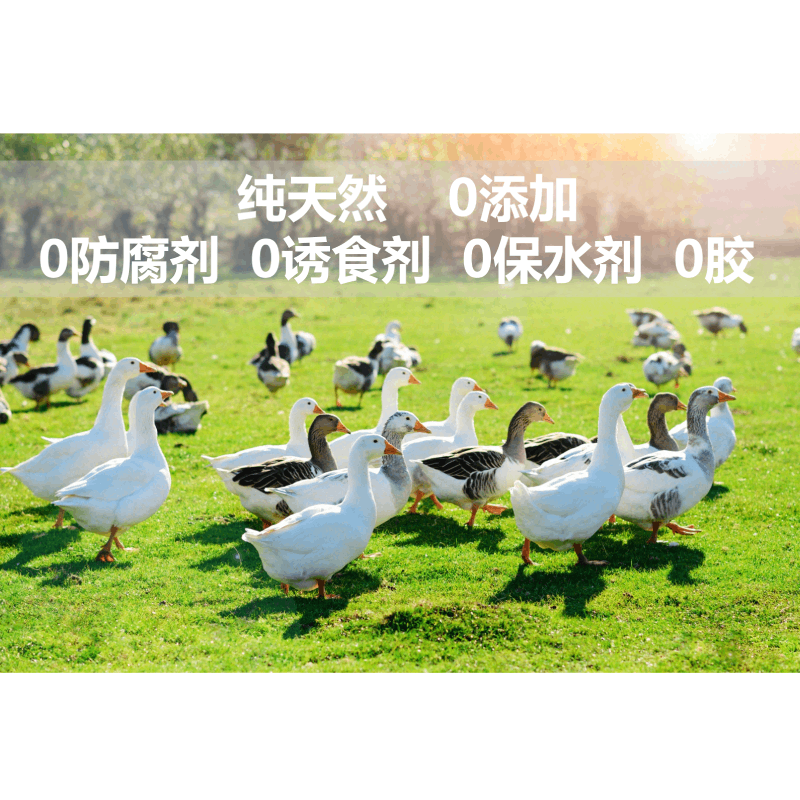 Jingmi Krill Duck Meat Slices Teething Sticks Duck Meat Dog Snacks Training Reward Ingredients Transparent Fire Clearing Tears 100g