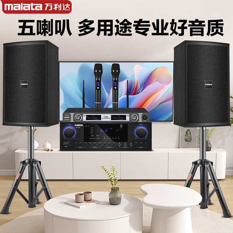 Malata audio set home KTV audio shop stage training room dance studio Bluetooth amplifier microphone speaker 12-inch five-unit audio pair