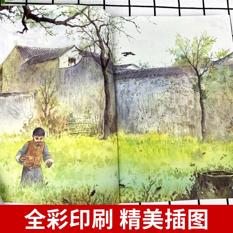 Hometown Genuine Lu Xun Primary and Secondary School Students Grade 3, 4, 5, 6 and 7 Extracurricular Books People's Literature Publishing House Chinese Literature Classics Youth Reading Story Books