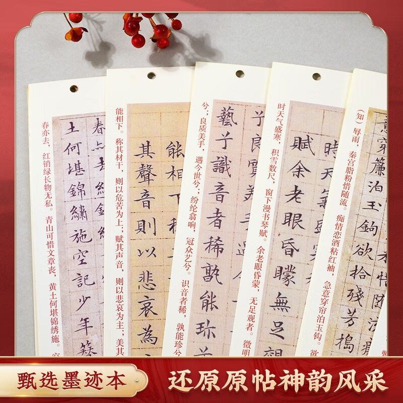 Huaxia Wanjuan calligraphy inscriptions, close-up copying calligraphy, Wen Zhengming's small regular script Fu, Wen Zhengming's ten Luohua poems, adult beginners' hobbies, cursive calligraphy, soft-pen copying calligraphy