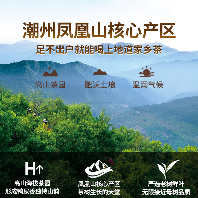 Legend Club Oolong Tea Phoenix Dancong Duck Shit Fragrance Special 500g Tea Gift Box Single Cong Drinks Itself New Year's Spring Festival Gifts