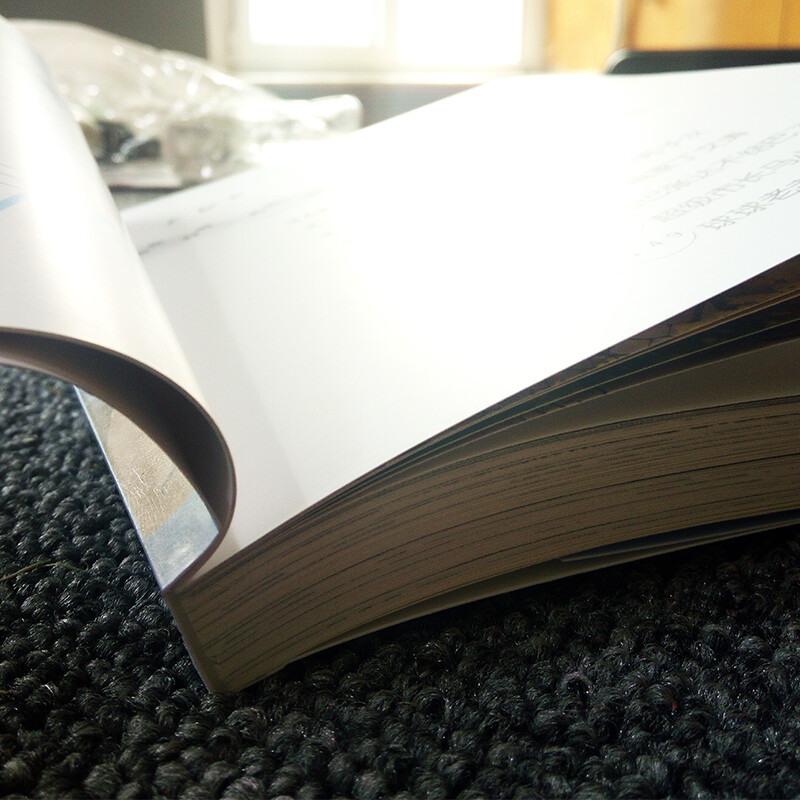 Yang Hongying's Diary of the Laughing Cat, The Umbrella that Turns Time (Volume 22) (7-12 years old) Children's literature for primary school first, second and third grade fairy tales, nomination for the International Hans Christian Andersen Award, character building, development of a guide, extracurricular reading, extracurricular books