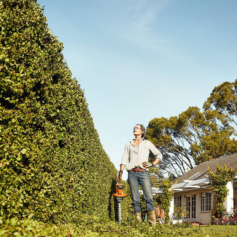 STIHL German rechargeable household lithium electric hedge trimmer tea leaf machine garden double-blade pruner pruning machine HSA94T